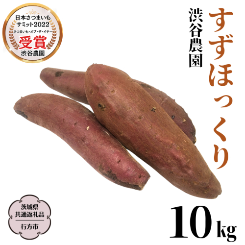 すずほっくり 約10kg 【茨城県共通返礼品／行方市】 渋谷農園 さつまいも  いも 芋 焼芋 [DT006sa] 1445620 - 茨城県桜川市