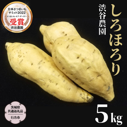 しろほろり 約5kg 【茨城県共通返礼品／行方市】 2024年11月から発送開始 渋谷農園 さつまいも  いも 芋 焼芋 [DT011sa] 1445622 - 茨城県桜川市