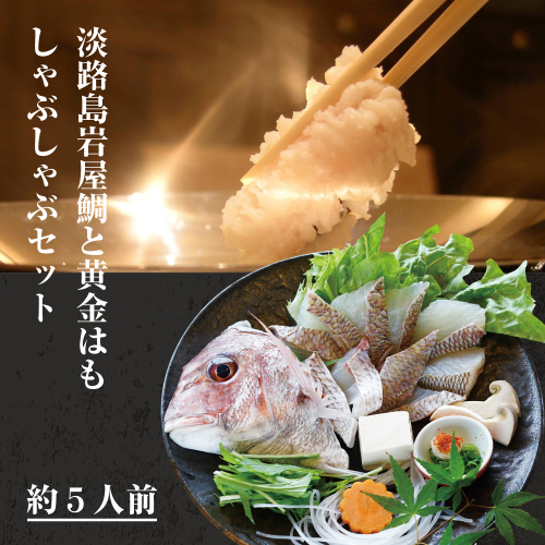 天然淡路島岩屋鯛と黄金はもしゃぶしゃぶセット  約5人前 【お届け日指定返礼品】  144575 - 兵庫県淡路市