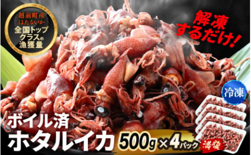 解凍するだけ ! 越前町産 ボイル済 ホタルイカ 満腹 計2kg（500g × 4P） 急速凍結 冷凍 ほたるいか 全国トップクラスの漁獲量【茹で ボイル 日本海 いか イカ 烏賊 福井県 魚介 海鮮 惣菜 さかな おつまみ 酒の肴 お取り寄せ グルメ 宅飲み 小分け 日常使い おすそわけ ギフト】 [e15-a055] 1446675 - 福井県越前町