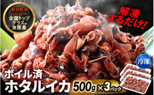 解凍するだけ ! 越前町産 ボイル済 ホタルイカ 計1.5kg（500g × 3P） 急速凍結 冷凍 ほたるいか 全国トップクラスの漁獲量【茹で ボイル 日本海 いか イカ 烏賊 福井県 魚介 海鮮 惣菜 さかな おつまみ 酒の肴 お取り寄せ グルメ 宅飲み 小分け 日常使い】 [e15-a054] 1446676 - 福井県越前町