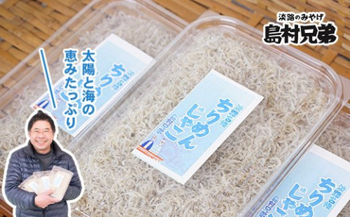 淡路島　天日干し　ちりめんじゃこ 100g×3パック 144678 - 兵庫県淡路市