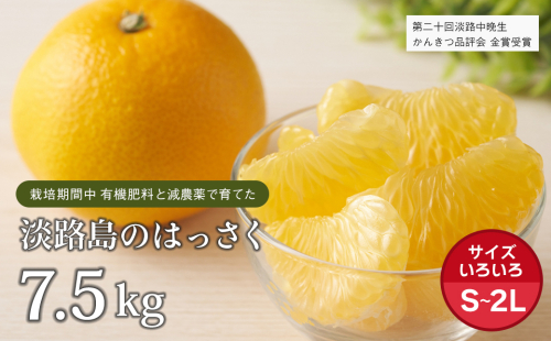 片山農園の淡路島のはっさく7.5kg【サイズいろいろS～2Lサイズ】 144739 - 兵庫県淡路市