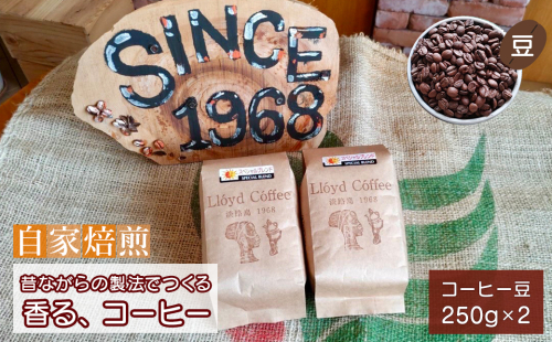 ロイドコーヒースペシャルブレンド（豆）500g（250g×2個）自家焙煎 コーヒー 豆 コーヒー 豆  144788 - 兵庫県淡路市
