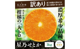 希少品種であり、蜜柑の「大トロ」柑橘の大トロと呼ばれているせとか。香りや食味の良い柑橘を掛け合わせ、いいとこどりで生まれた新品種。トロリとろける食感、濃厚でジューシーな味わい、みずみずしいオレンジの香