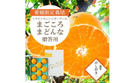 愛媛限定栽培品種 まどんな (愛媛果試28号) 贈答箱入り のし付き＜D25-170＞【1536523】