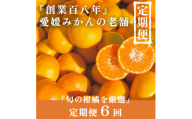 ＜発送月固定定期便＞旬の厳選柑橘をお届け。柑橘定期便＜新口農園厳選＞＜H70-41＞全6回【4055158】