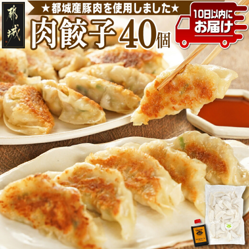 831ハチサンイチの肉餃子40個入り≪みやこんじょ特急便≫_LE-K601-Q 1448266 - 宮崎県都城市