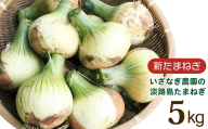 【新たまねぎ】いざなぎ農園の淡路島たまねぎ 5kg【発送時期2026年5月頃】 玉ねぎ 産地直送
