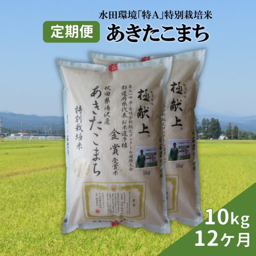 特別栽培米あきたこまち精米(5kg×2)定期便(12ヶ月)[F2109] 1448681 - 秋田県湯沢市