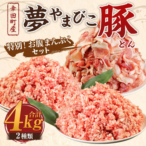 夢やまびこ豚 特別！お腹まんぷくセット 小間切れ 挽肉 計4kg（各500g×4袋） 豚肉 お肉 こま切れ ミンチ 1449001 - 愛知県幸田町