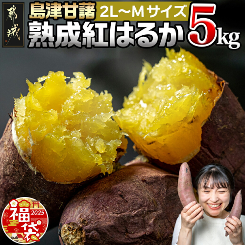 【福袋★2025】島津甘藷 熟成紅はるか 5kg(2L～M)_LD-A701-F2025 1449309 - 宮崎県都城市