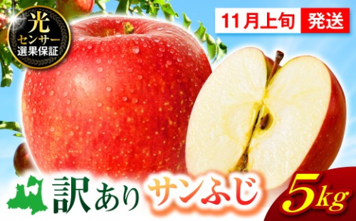 【先行受付】【2026年11月上旬発送】【訳あり】 りんご 5kg サンふじ 青森 1449352 - 青森県五所川原市
