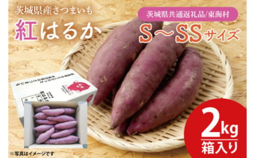 【数量限定】紅はるかS～SSサイズ2kg箱【茨城県共通返礼品/東海村】【さつまいも 芋 いも  焼き芋 焼芋 やきいも 水戸市 茨城県 3000円以内】（KE-2）