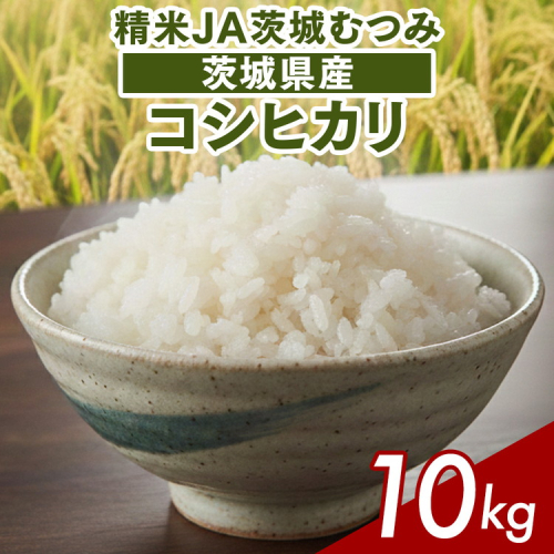 【令和7年産】茨城県産コシヒカリ10kg（5kg×2袋）精米JA茨城むつみ | 米 こめ コメ 10キロ 精米 こしひかり コシヒカリ 茨城県産 贈答 贈り物 プレゼント 茨城県 古河市 JA 農協 直送 産地直送 送料無料 _CL05 ※2025年10月下旬頃より順次発送予定 145000 - 茨城県古河市