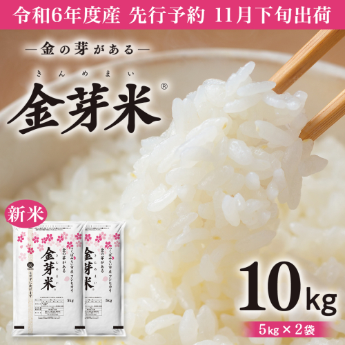 【 令和6年産・新米 11月下旬発送 】【 金芽米 】 つくばみらい市産 コシヒカリ 5kg × 2袋 ( 計 10kg ) 金芽米 きんめまい 米 お米 無洗米 茨城県 カロリーオフ 低カロリー 東洋ライス 節水 時短 アウトドア キャンプ [EK03-NT] 1450087 - 茨城県つくばみらい市