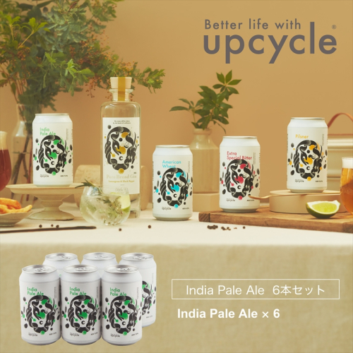 サスティナブル・クラフトビール　India Pale Ale　6本 お酒 クラフトビール ギフト おうち時間 グランピング キャンプ プレゼント 地ビール 神奈川県 海老名市 送料無料 1450166 - 神奈川県海老名市