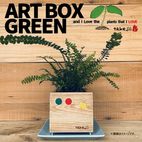 インテリア ART BOX GREEN / 001(〇） アートボックス 観葉植物 多肉植物 岡山 赤磐市 takejii craft 1450183 - 岡山県赤磐市