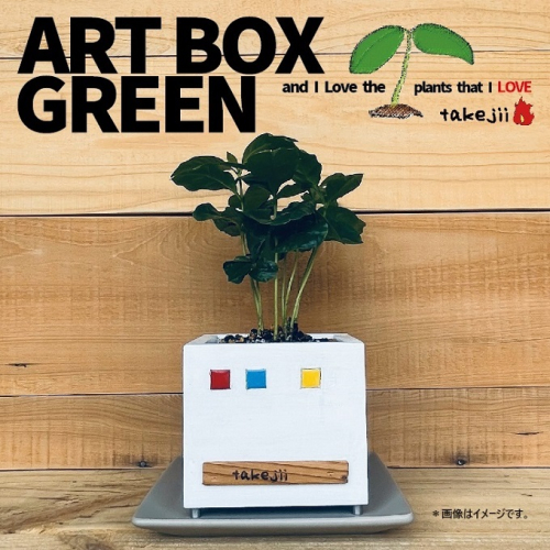 インテリア ART BOX GREEN / 002(□） アートボックス 観葉植物 多肉植物 岡山 赤磐市  takejii craft 1450184 - 岡山県赤磐市