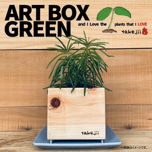 インテリア ART BOX GREEN / 003(木目） アートボックス 観葉植物 多肉植物 岡山 赤磐市 takejii craft 1450185 - 岡山県赤磐市