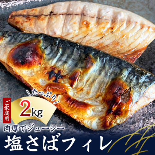 【全3回】大容量！ ご家庭用 塩さばフィレの定期便 / さば サバ 鯖 フィレ 切り身 切身 魚 海鮮 焼き魚 おかず 定期便【tkb353】 1450391 - 和歌山県北山村