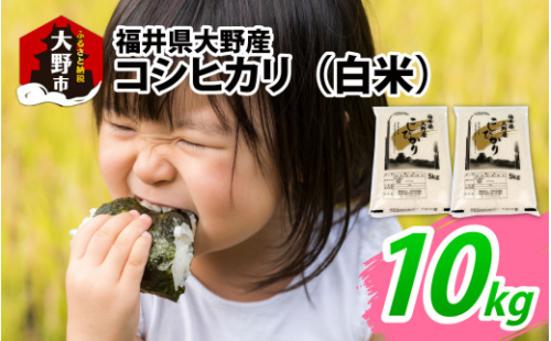 【先行予約】【令和8年度産 新米】福井県大野産コシヒカリ（白米）10kg(5kg×2袋)
