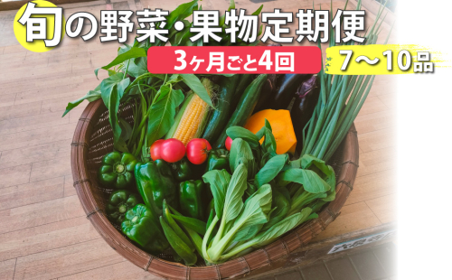 ＜年4回定期便＞ はちきんの店 野菜 セット 7～10品 1450547 - 高知県佐川町