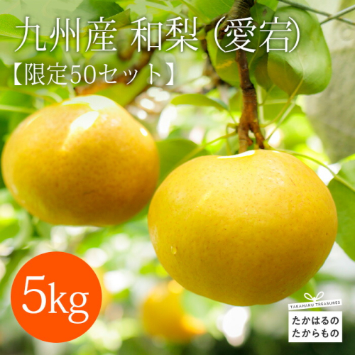 【先行受付・限定50箱】九州産和梨「愛宕(あたご)」5kg [季節限定 期間限定 果物 フルーツ 国産 日本産 ワンストップオンライン 『返礼品特集20000円以下』-宮崎県高原町] TF0312-P00025 1450649 - 宮崎県高原町