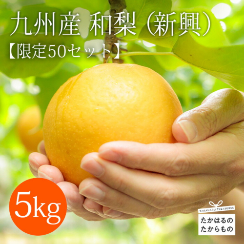 【先行受付・限定50箱】九州産 和梨「新興(しんこう)」 5kg [季節限定 期間限定 果物 フルーツ 国産 日本産 ワンストップオンライン] TF0326-P00025 1450652 - 宮崎県高原町