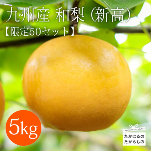 【先行受付・限定50箱】九州産 和梨「新高(にいたか)」 5kg [季節限定 期間限定 果物 フルーツ 国産 日本産 ワンストップオンライン] TF0313-P00025 1450653 - 宮崎県高原町