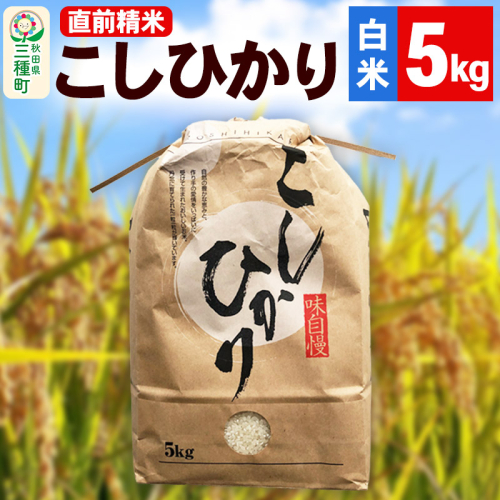 《新米》【精米】こしひかり 5kg（5kg×1袋）令和7年産 米 秋田県 三種町産 1451099 - 秋田県三種町