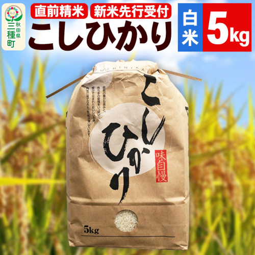 《新米先行受付》【精米】こしひかり 5kg（5kg×1袋）令和6年産 米 秋田県 三種町産 1451099 - 秋田県三種町