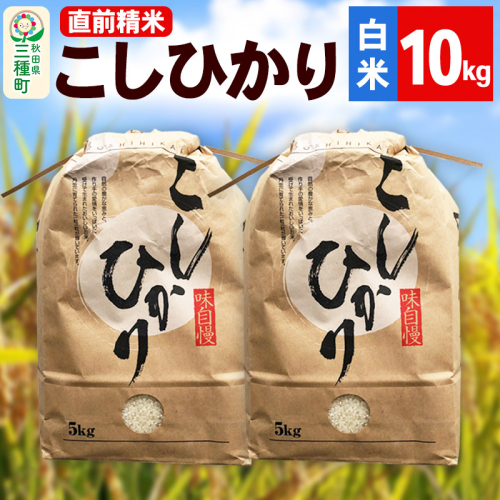 《新米》【精米】こしひかり 10kg（5kg×2袋）令和7年産 米 秋田県 三種町産 1451100 - 秋田県三種町