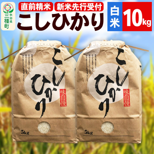 《新米先行受付》【精米】こしひかり 10kg（5kg×2袋）令和6年産 米 秋田県 三種町産 1451100 - 秋田県三種町