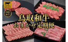 【ふるさと納税】鳥取和牛 おまかせ 定期便 12か月 TB5