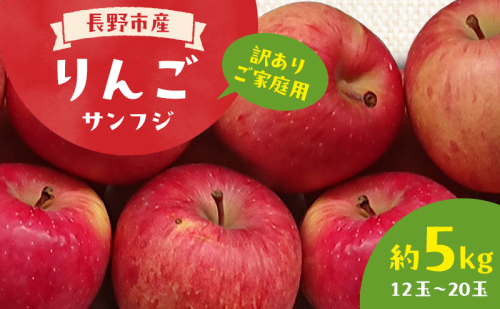 長野市産 訳あり 規格外 りんご サンフジ約5kg 12玉～20玉 家庭用 ※配送不可地域あり 果物類 林檎 リンゴ サンふじ フルーツ  145130 - 長野県長野市