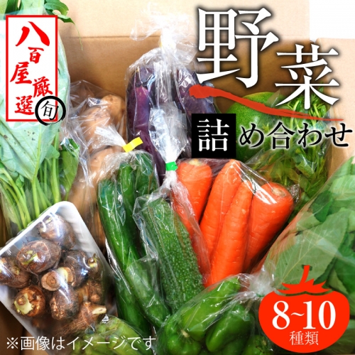 目利きのプロ 八百屋厳選 野菜詰め合わせセット（8～10種類お届け）　H151-010