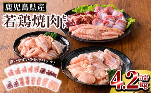 K-221 鹿児島県産 若鶏焼肉セット (合計4.2kg)【TRINITY】 霧島市 国産 冷凍 真空パック 小分け 鶏肉 鳥肉 詰め合わせ 1452190 - 鹿児島県霧島市