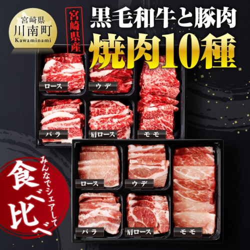 宮崎県産 黒毛和牛 と 豚肉 焼肉 10種 【 肉 牛 牛肉 豚肉 豚 ぶた肉 国産 黒毛和牛 BBQ 焼肉 ロース カタロース バラ モモ ウデ 】 1452270 - 宮崎県川南町