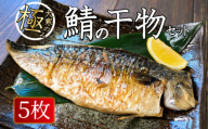 大寒の極み サバ干物 5枚 1枚約200g 特大サイズ 鯖 さば 塩サバ ノルウェー産 冷凍 一枚ずつ 梱包 パウチ 真空パック 個包装 魚 海鮮 魚介類 シーフード 干物 ひもの 高級 お取り寄せグルメ お試し 長期保存 贈答 贈物 贈り物 ギフト プレゼント 送料無料 千葉県 銚子市 武内商店