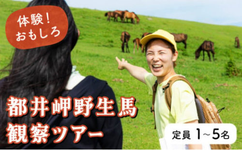 OP-TMG 体験!おもしろ『都井岬野生馬』観察ガイドツアー 1452365 - 宮崎県串間市