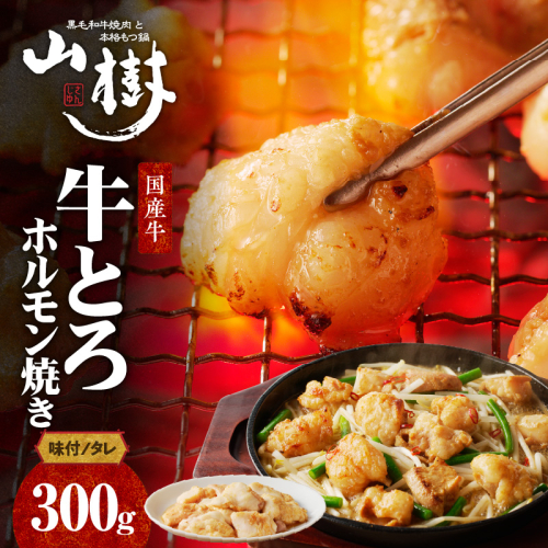 山樹の国産牛とろホルモン焼き（味付/タレ）　300g [047R16] 145240 - 愛知県小牧市