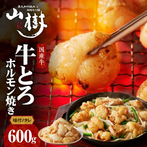 山樹の国産牛とろホルモン焼き（味付/タレ）　600g [047R17] 145241 - 愛知県小牧市