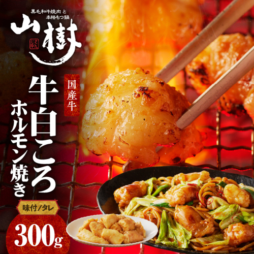 山樹の国産牛白ころホルモン焼き（丸腸）味付　300g [047R19] 145243 - 愛知県小牧市