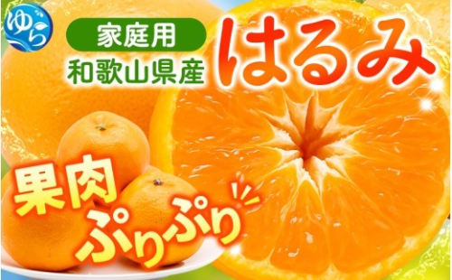 家庭用 はるみ 訳あり 5kg+250g（傷み補償分）【ikd013-c-5B】 1452451 - 和歌山県由良町