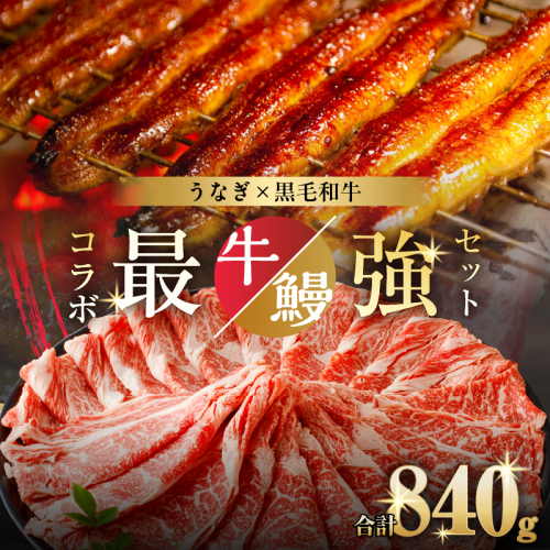 ≪数量限定≫うなぎ×黒毛和牛(経産牛) 都農町最強セットD 肉 牛 牛肉 おかず 国産_T030-074 1452535 - 宮崎県都農町