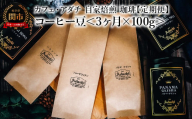 【定期便】 コーヒー豆  ＜１００g×３ヶ月＞ パナマゲイシャ ブルーマウンテン ハワイコナ １００g （約10杯分）×３回 毎月異なるコーヒー豆をお届け ～ カフェ・アダチ 自家焙煎 珈琲 （粉にもできます）