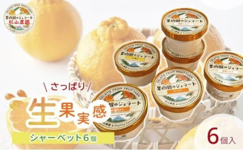 果樹園のジェラート 夏にさっぱりシャーベット6個セット 100ml×6個 冷凍 ギフト アイスクリーム シャーベット 1452590 - 静岡県静岡市