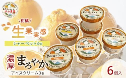 果樹園のジェラート 柑橘食べ比べ6個セット 100ml×6個 冷凍 ギフト アイスクリーム シャーベット 1452591 - 静岡県静岡市