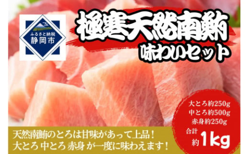 冷凍 鮪 極寒 天然 南鮪 味わいセット（大とろ・中とろ・赤身）静岡市 天然 まぐろ トロ マグロ 厳選 海生水産 海の幸 1452597 - 静岡県静岡市